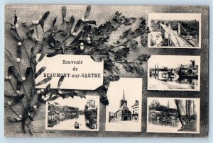 Pays de la Loire France Postcard Souvenir de Beaumont-Sur-Sarthe c1910 Multiview