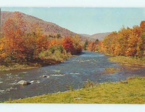 Unused 1950's GREETINGS FROM - ROUTE 28 AUTUMN SCENE Oneonta New York NY Q8556