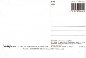 Animals Photo Postcard -Dolphin, Common on The Australian Coastline RR21970