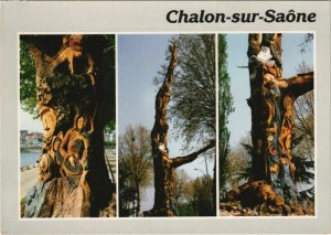 CPM CHALON-sur-SAONE L'Arbre a Manon (1190072)