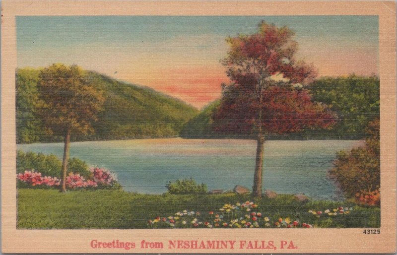 Postcard From Neshaminy Falls PA