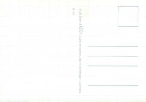 Comic postcard penguins playing table tenis ping pong humour signed Stein