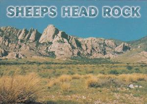 Arizona Sheeps Head Rock In Dragoon Mountains