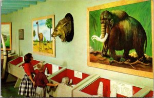 Florida Bartow Phosphate Valley Exposition