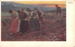 Czechoslovakia Orani Farmers Plowing Field Vintage Postcard JH230441