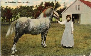 A Canadian Heavy-Weight Horse Woman Canada c1911 SH Knox Postcard F92