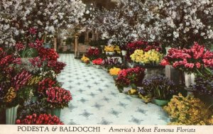 Vintage Postcard Podesta & Baldocchi Americas Most Famous Florists San Francisco