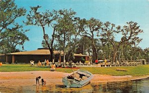 Silver Springs Shores, FL Florida  COMMUNITY CENTER  Lake~Boat~Pavilion Postcard