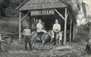 Burro Stand - Delaware Water Gap, Pennsylvania