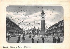 BR5481 Venezia Place St Marc et une volee de pigeons  italy
