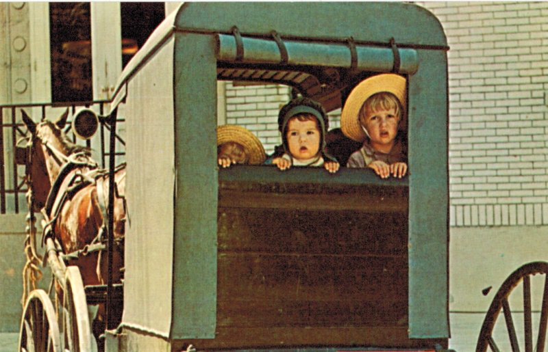 Amish Children Peering from Rear of Buggy in Lancaster County, PA