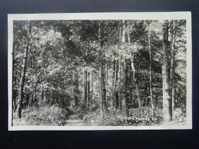 Surrey WOKING Pyrford Woods c1930's RP Postcard