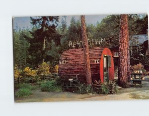 Postcard He And She At Grundy's Redwood Terrace, California