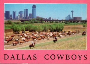 Texas Dallas Skyline Cowboys With Cattle In Foreground