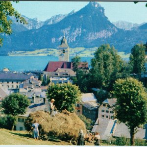 c1950s St. Wolfgang Salzburg Austria Pan American Postcard Airline Hay Harvest