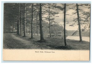 1905 South Walk, Wildwood Park, Killingly Connecticut CT Unposted Postcard