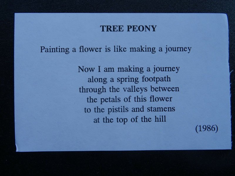 TREE PEONY Paintings Poems by Japanese Disabled Artist Tomihiro Hoshino PC