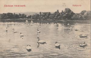 Hungary Tovaros Hattyu-to swans lake 1909 postcard
