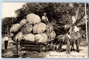 Galva Kansas KS Postcard RPPC Photo Horses And Wagon Exaggerated Cabbage Martin