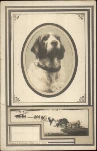 Border Terrier or Collie in Collar c1905 Real Photo Postcard