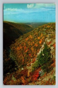 Blackwater Canyon Monongahela National Forest Virginia Vintage Posted 1962