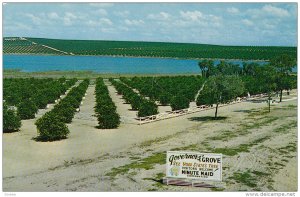 Governors' Grove, CLERMONT, Florida, 40-60´