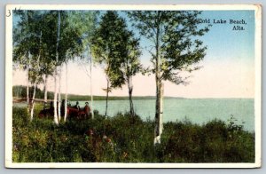 1949  Alberta  Canada  Cold Lake  Old Town  Postcard