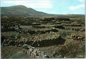 postcard Spain Canary Islands Lanzarote - La Geria - volcanic landscape vines