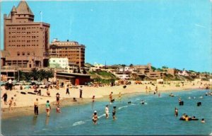 Sun Bathers Swimming Long Beach California CA Coastline VTG Postcard UNP Unused