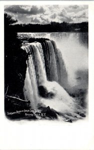 1900s Terrapin Rock and Horse Shoe Fall Niagara Falls New York Postcard