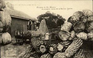 Kansas Fantasy Exaggeration Farming Corn Cart Real Photo Vintage Postcard