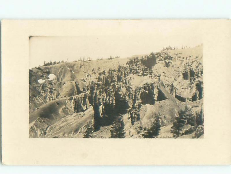 Old rppc NATURE SCENE Great Postcard AB0602