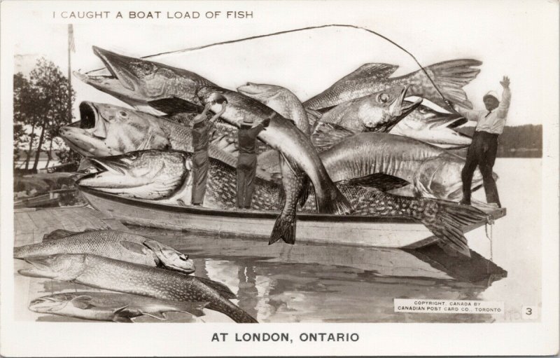 London ON Exaggerated Boat Load Of Fish Fishing Unused Real Photo Postcard E83