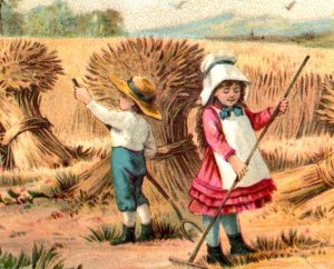 1880s Victorian Trade Card Children Working On Farm F104