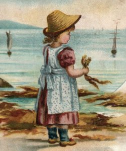 1880s Victorian Trade Card Beach Scene Adorable Girl Seaweed Sailboats F143