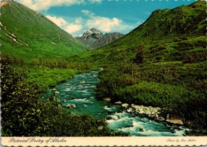 Alaska Scenic View Of Fishing Stream