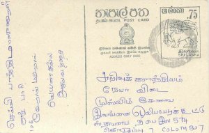 Entier Postal Stationery Postal Sri Lanka Ceylon Lion