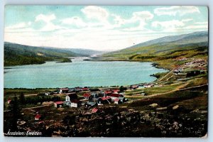 DPO (1894- 1920) Falun Wisconsin WI Postcard Birds Eye View Aredalen Sweden 1911