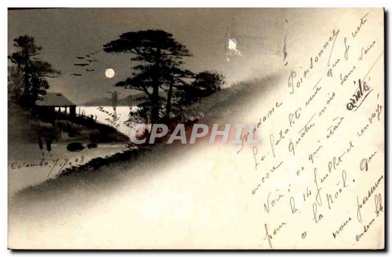Old Postcard Japan Nippon landscape Tree