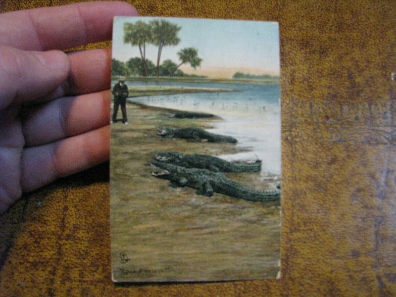 Vintage Alligator Postcard Tuck Series #2645 Look Pleasant 1913 Postmark