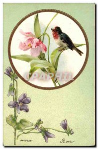 Old Postcard Birds