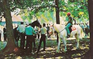 New York Saratoga Race Track Paddock