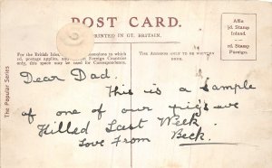 Lot244 uk  comic postcard pig on dinner table