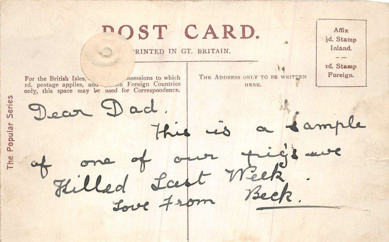 Lot244 uk  comic postcard pig on dinner table