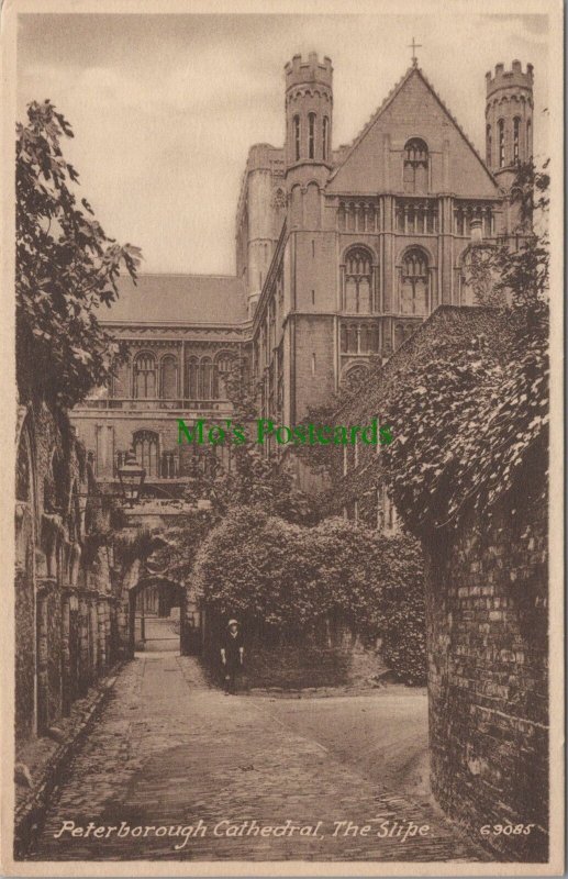 Cambridgeshire Postcard - Peterborough Cathedral, The Slipe RS33328