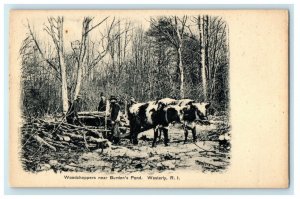 1905 Woodchoppers Near Burden's Pond, Westerly, Rhode Island RI Postcard 