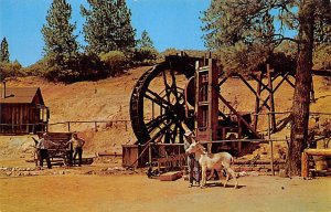 Early Day Mining Operation - Columbia, California CA  
