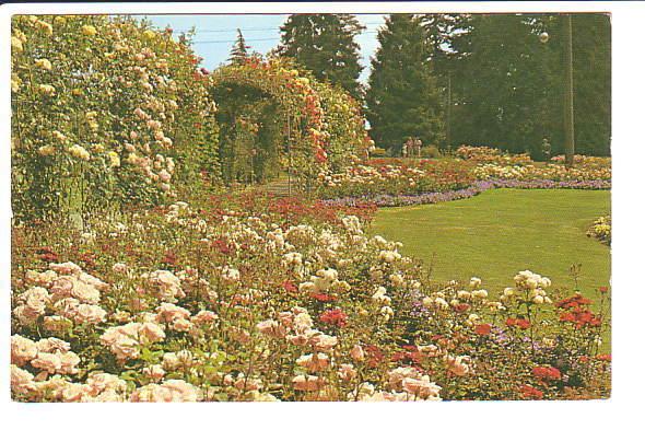 Rose Gardens, Stanley Park  Vancouver British Columbia,