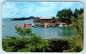 Glencoe in Salt Kettle Sunfish Sailing PAGET Bermuda Postcard