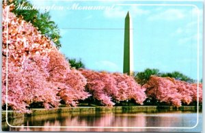 Postcard - The Washington Monument - Washington, District of Columbia